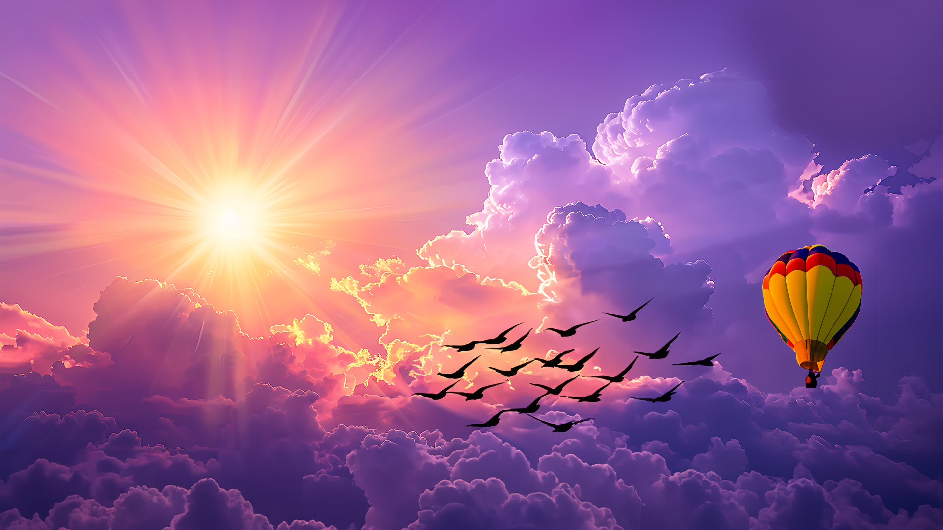 Sunrise Design Project